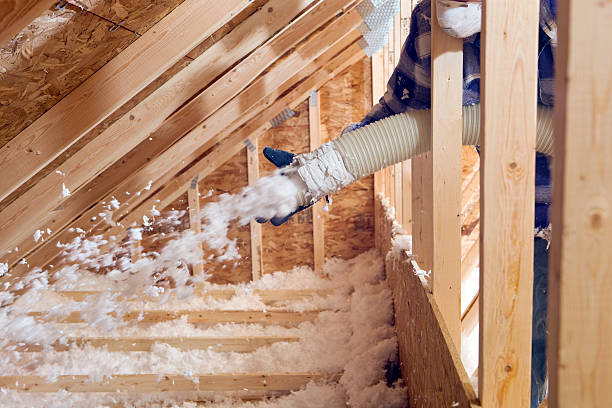 Best Blown-In Insulation  in Becker, MN